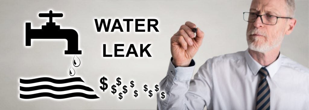 Water leaks costs